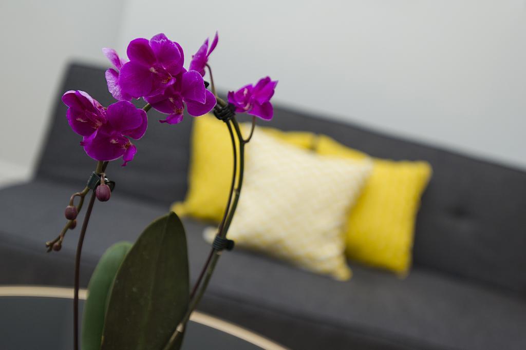 Market Street Apartments - City Centre Modern 1Bedroom Apartments With New Wifi And Very Close To Tram 诺丁汉 外观 照片